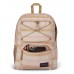 JanSport Flex Pack Backpack Sunny Stripe