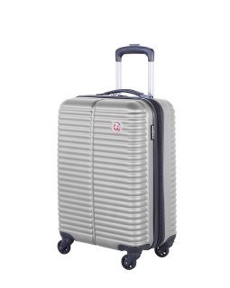 Swiss Gear 20" Spinner Carry-On Luggage Monthey Silver